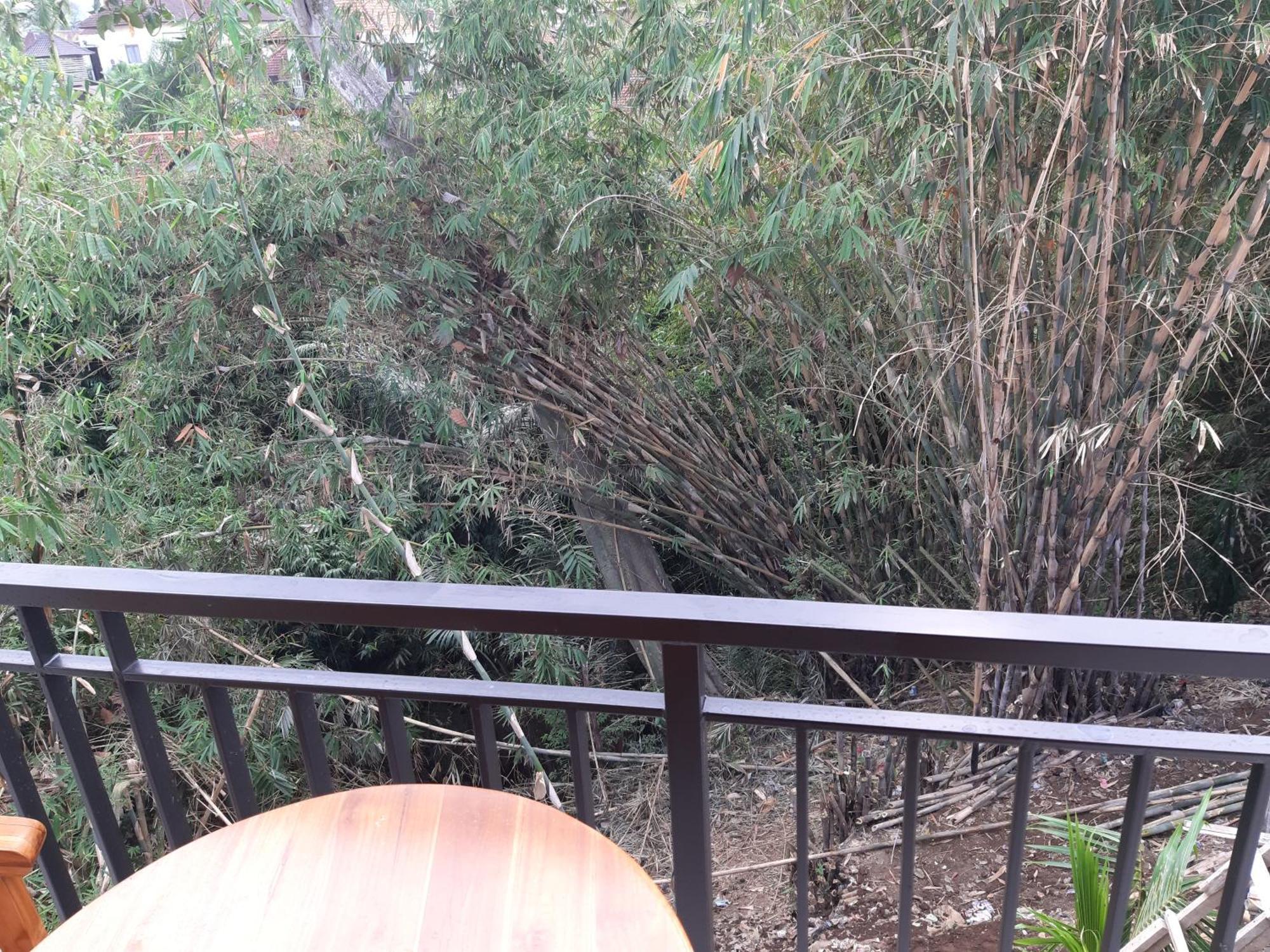 דירות אובוד Patra House מראה חיצוני תמונה